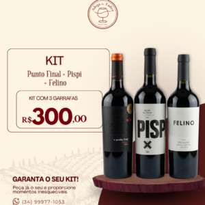 Kit Punto Final + Pispi + Felino