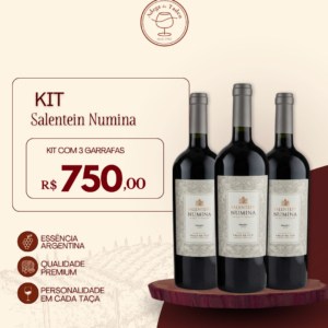 Kit Salentein Numina