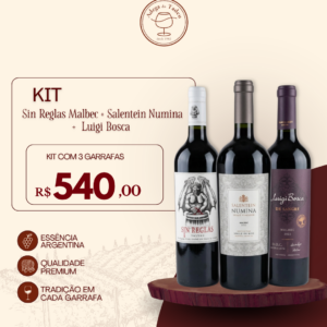 Kit Sin Reglas Malbec + Salentein Numina + Luigi Bosca
